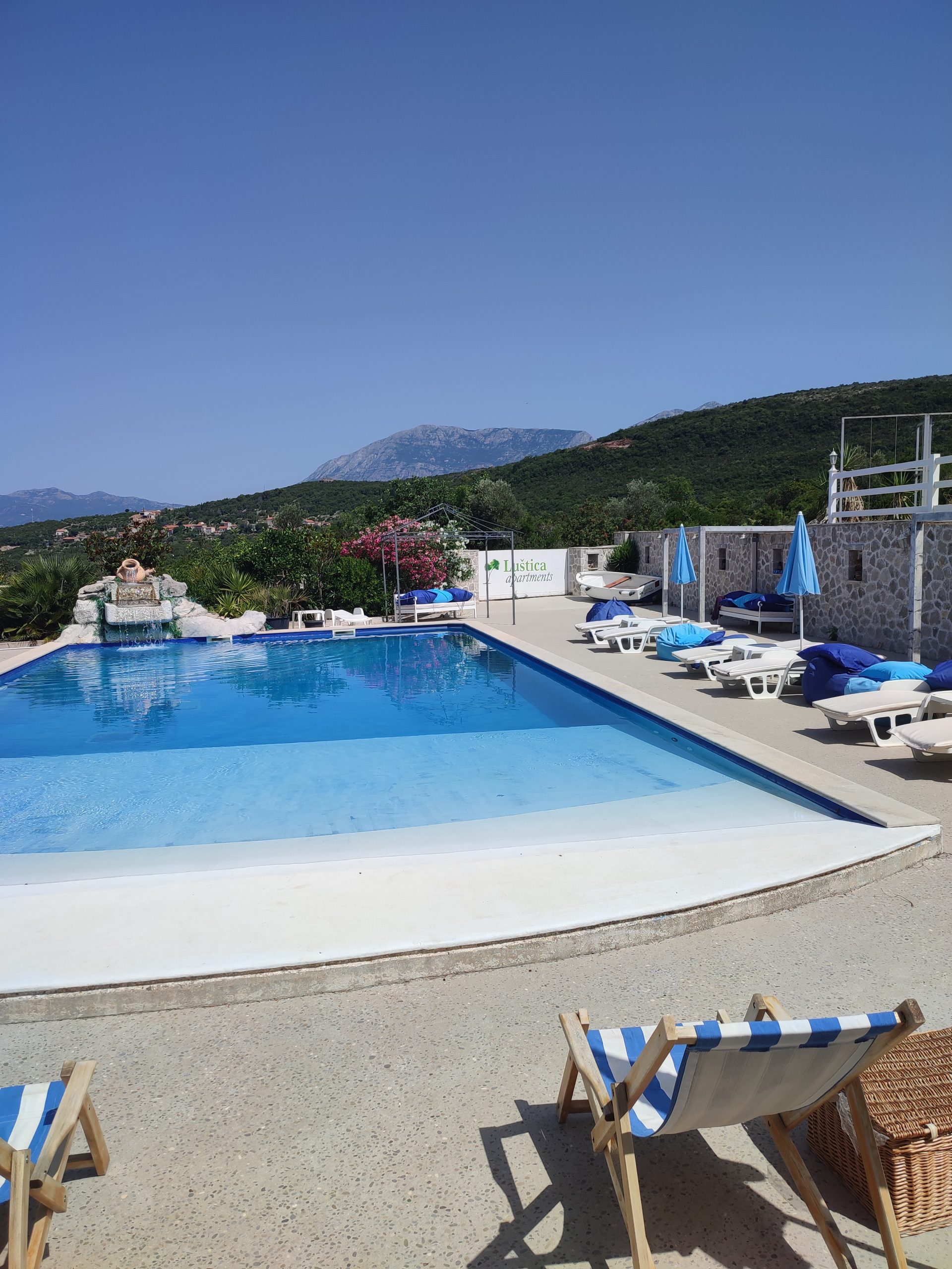 Olive tasting Montenegrin tradition tour ()