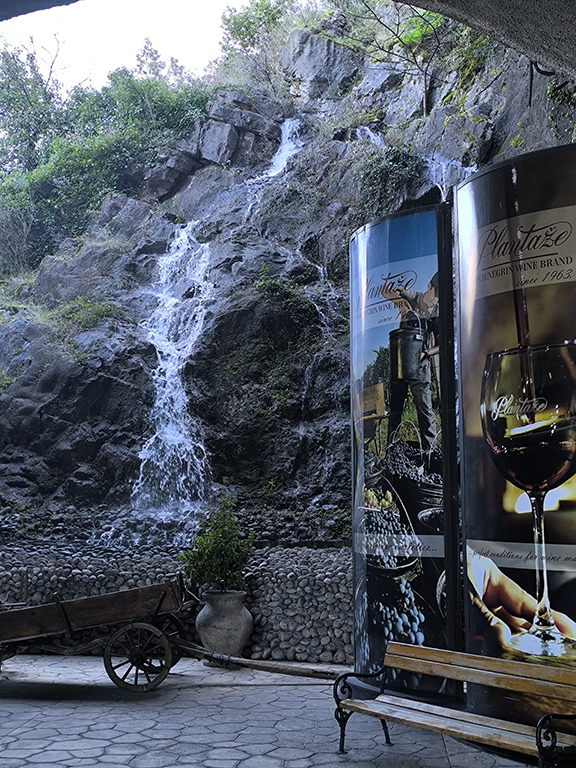 pg vinarija plantaze